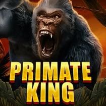 Primate King игровой автомат